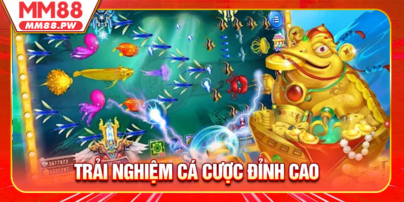 Trải Nghiệm Cá Cược Đỉnh Cao Với Kho Báu Long Cung Tại MM88